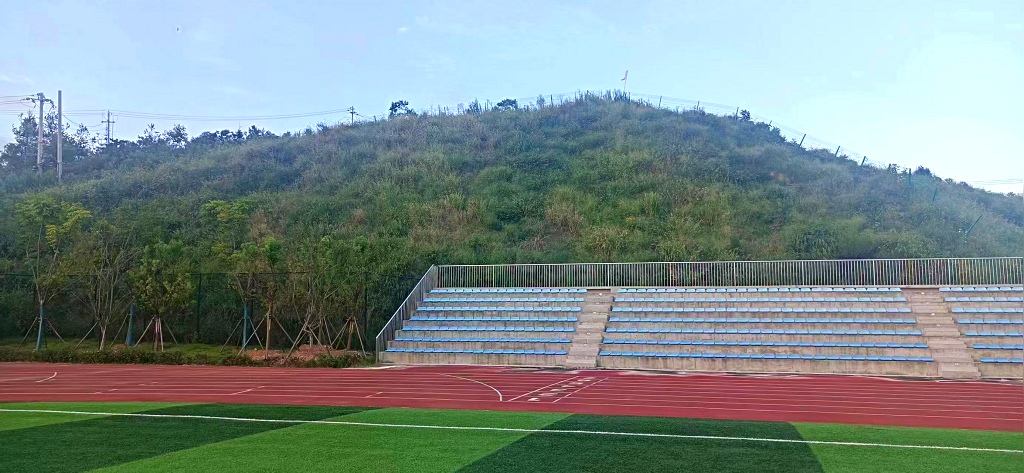 武漢商貿職業學院紅安校區足球場邊坡綠化工程順利完工！